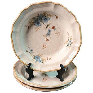 3 Mikasa Garden Club Day Dreams EC 461 Soup Cereal Rimmed Bowls 8" Vintage 1986